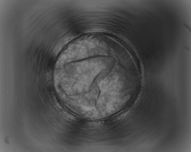 X0000103250937200809251347