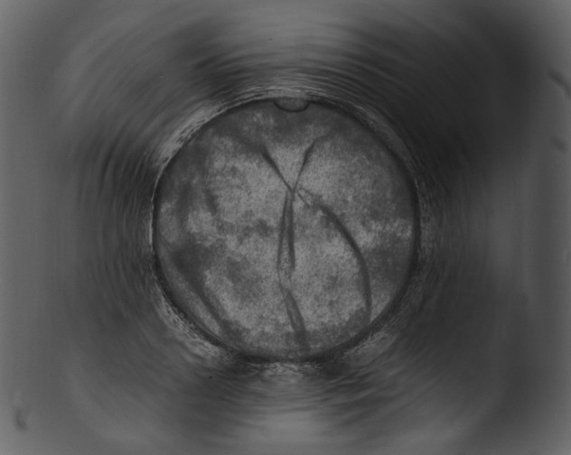 X0000103250938200809251348