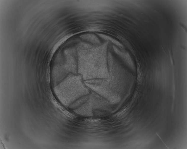X0000103250939200809251348