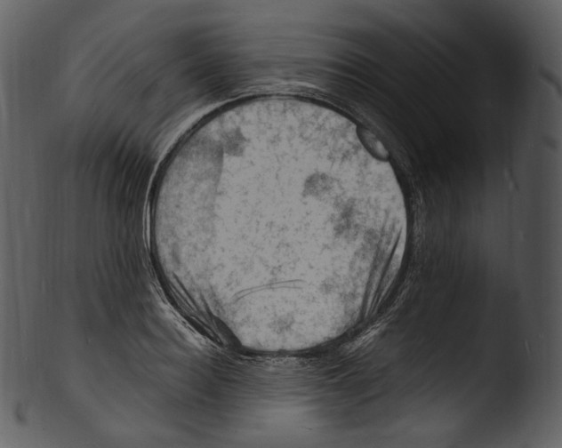 X0000103250940200809251348