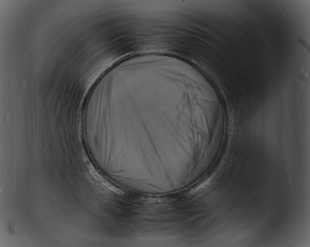 X0000103250941200809251348