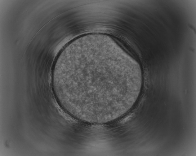 X0000103250944200809251348