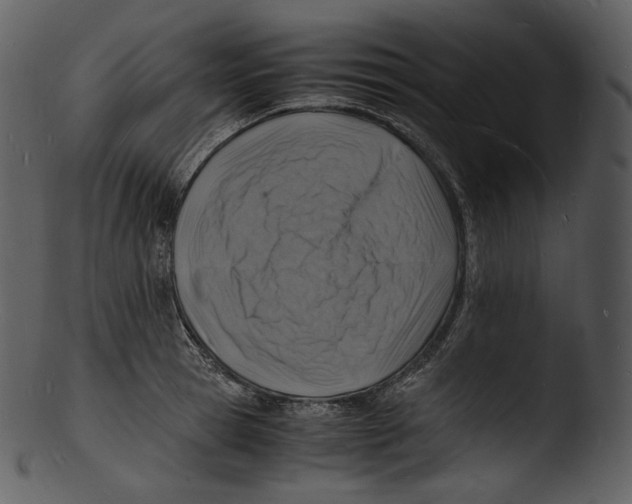 X0000103250945200809251348