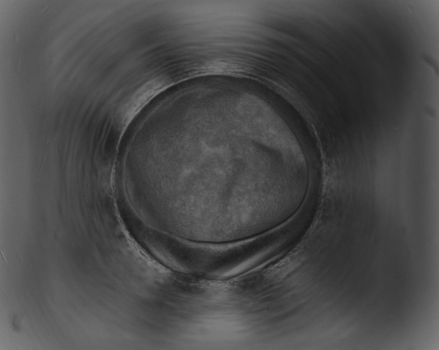 X0000103250946200809251348