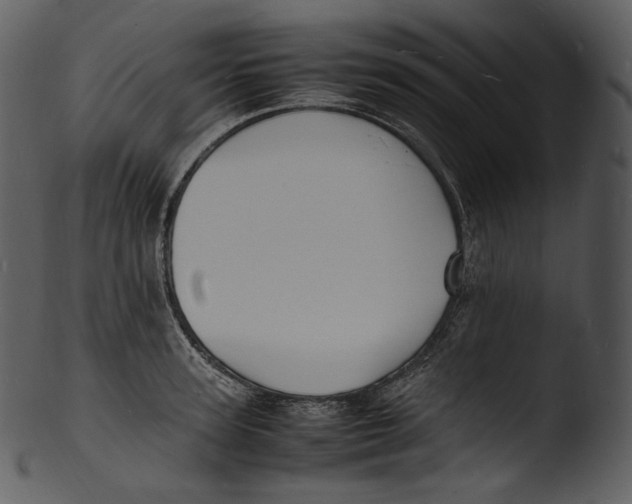X0000103250947200809251348