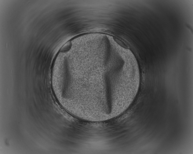 X0000103250948200809251348