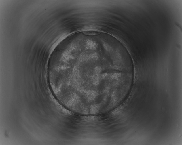 X0000103250949200809251348