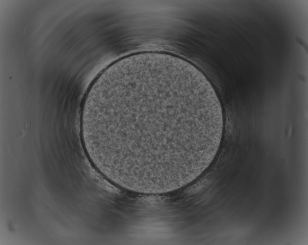 X0000103250950200809251348