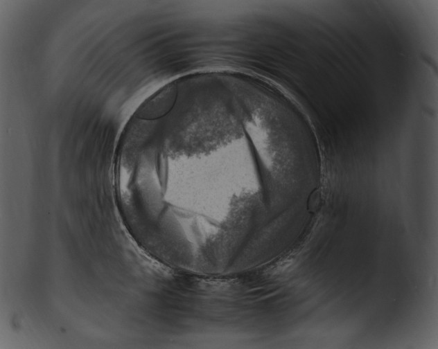 X0000103250951200809251348