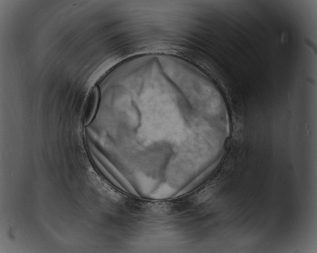 X0000103250952200809251348