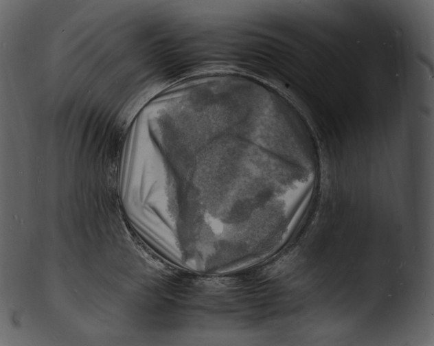 X0000103250953200809251348