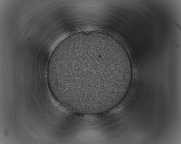 X0000103250954200809251348