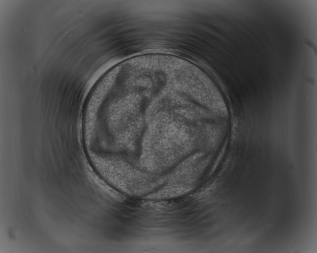 X0000103250955200809251348