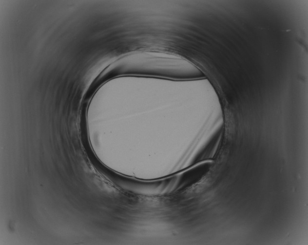 X0000103250956200809251348