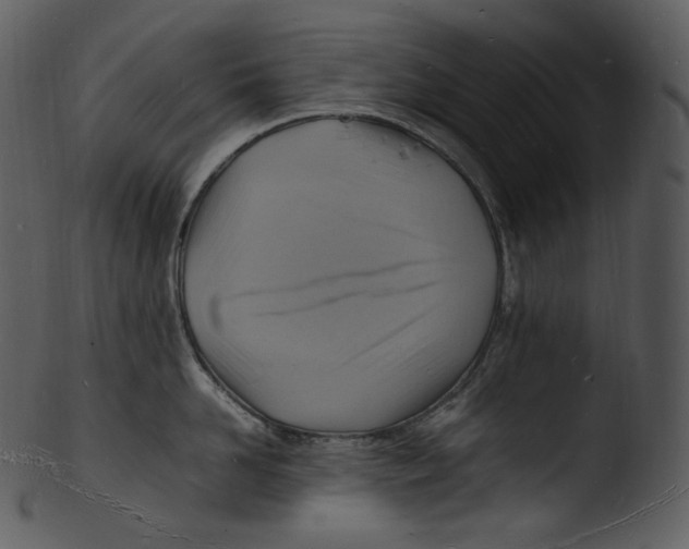 X0000103250958200809251348