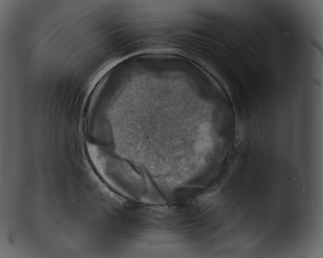 X0000103250959200809251348