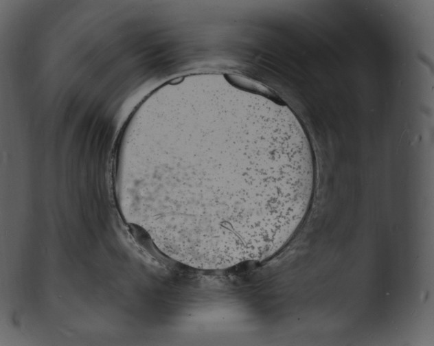 X0000103250960200809251348