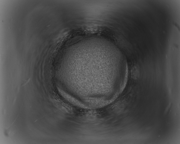 X0000103250961200809251347