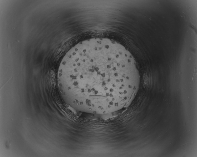 X0000103250964200809251347