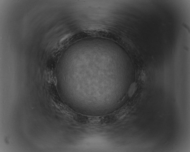 X0000103250965200809251347