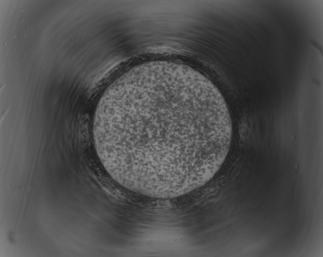 X0000103250968200809251347