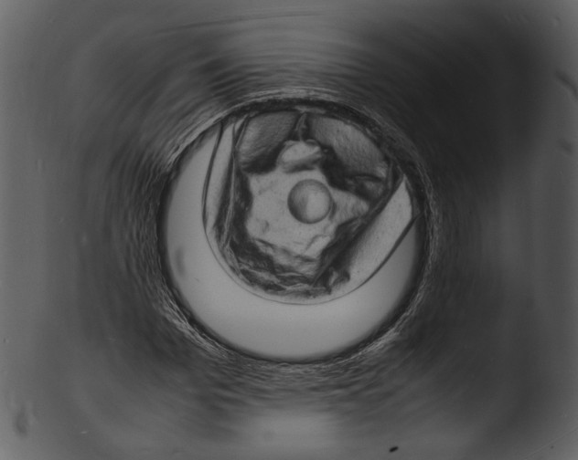 X0000103250969200809251347