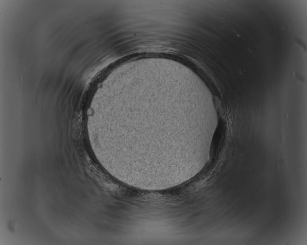 X0000103250971200809251347