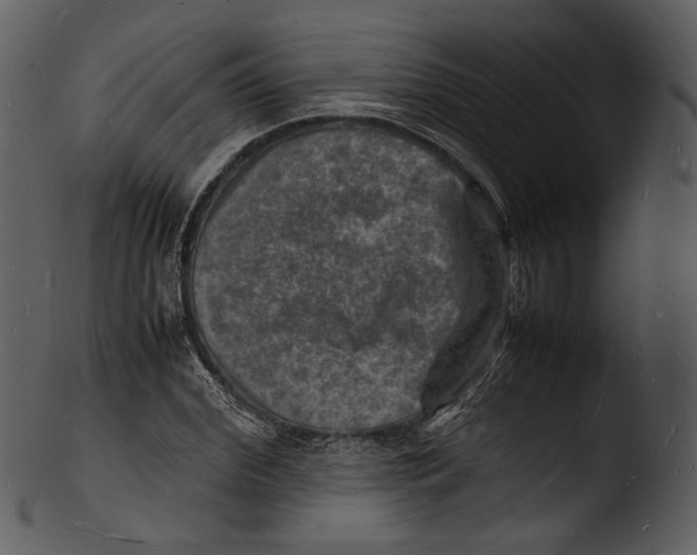 X0000103250972200809251347