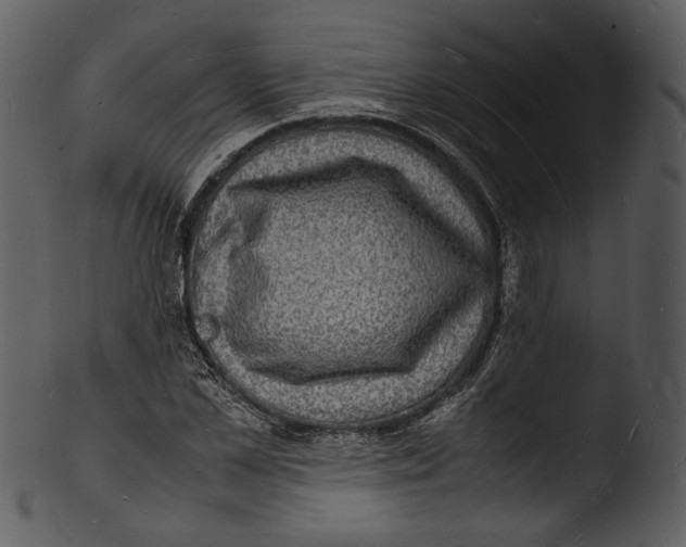 X0000103250973200809251347