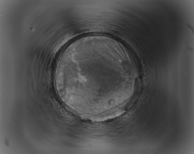 X0000103250975200809251347