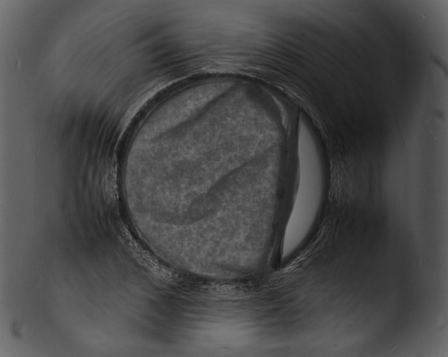 X0000103250976200809251347