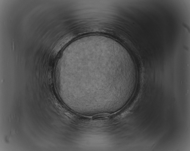 X0000103250977200809251347