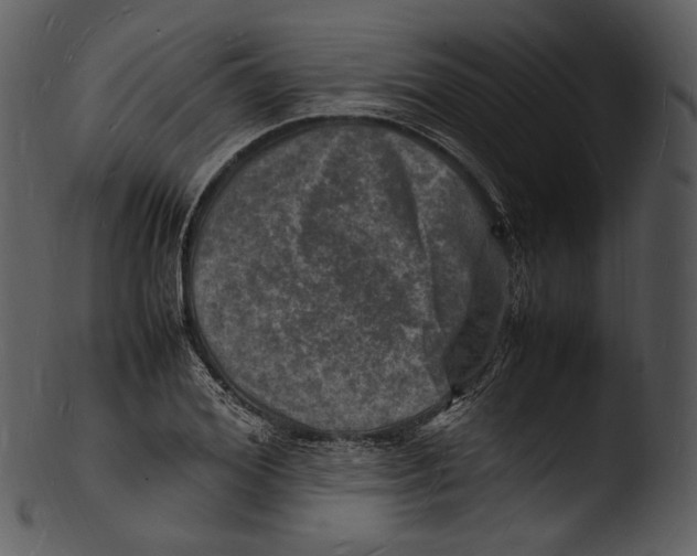 X0000103250980200809251347