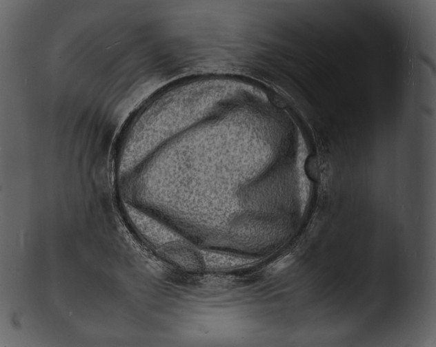X0000103250981200809251347
