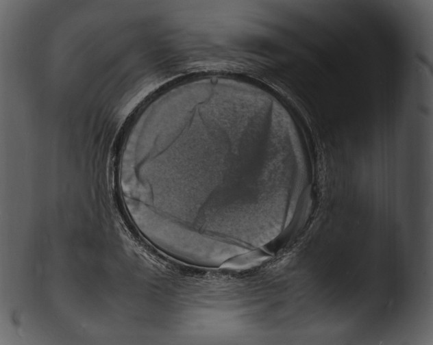 X0000103250983200809251347