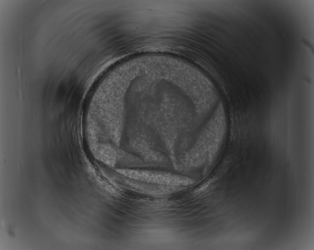 X0000103250984200809251347