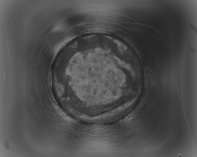 X0000103250987200809251347
