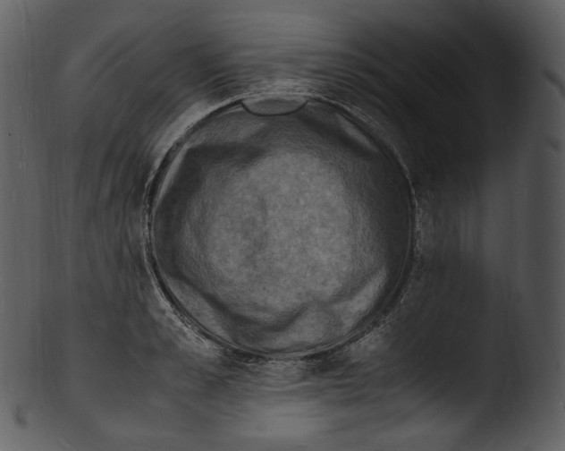 X0000103250989200809251347