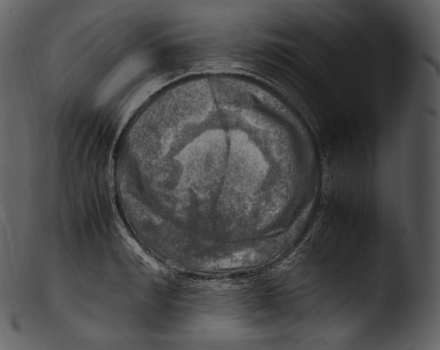 X0000103250990200809251347