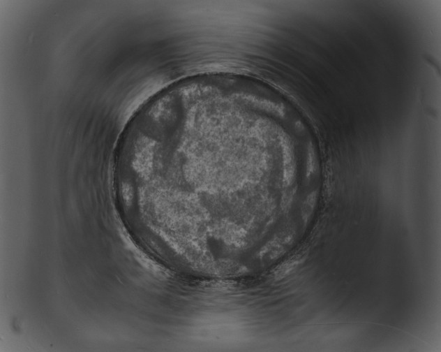 X0000103250991200809251347
