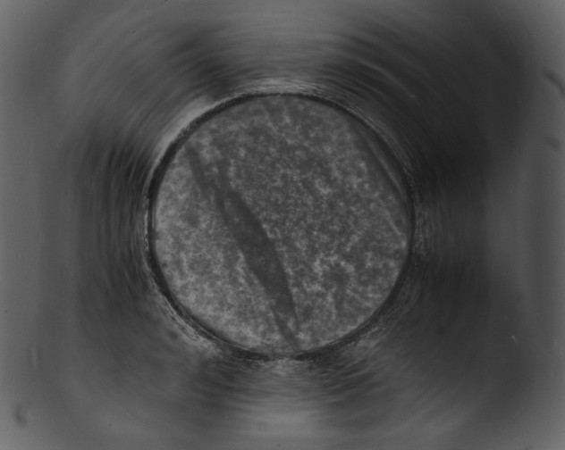 X0000103250992200809251347