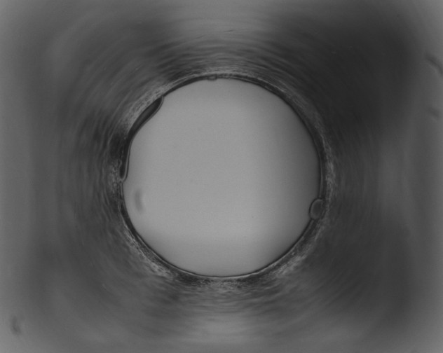 X0000103250993200809251347