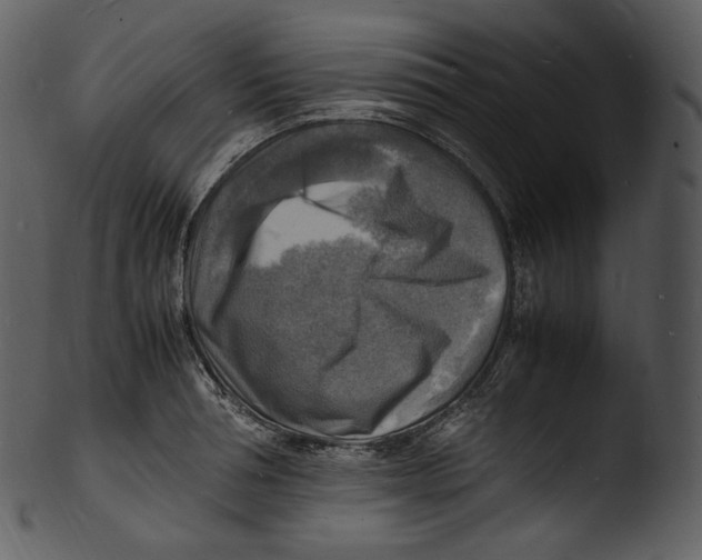 X0000103250994200809251347