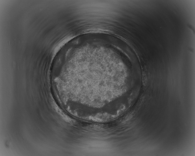 X0000103250995200809251347