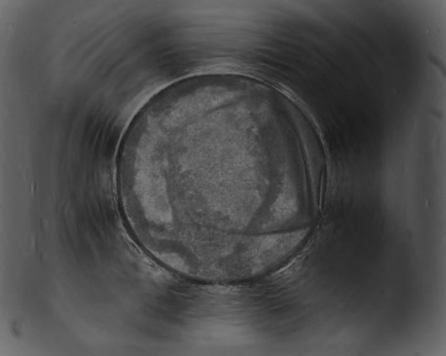 X0000103250996200809251346