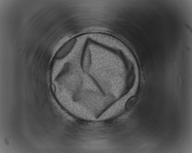 X0000103250997200809251346