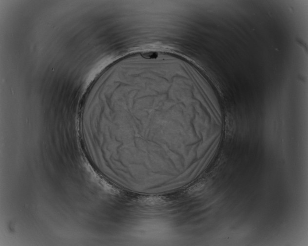X0000103250998200809251346