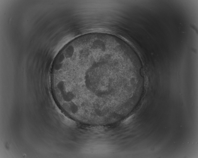 X0000103250999200809251346