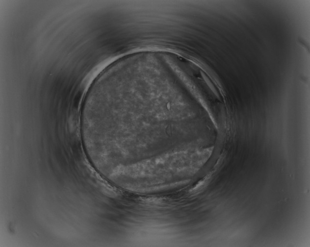 X0000103251004200809251346