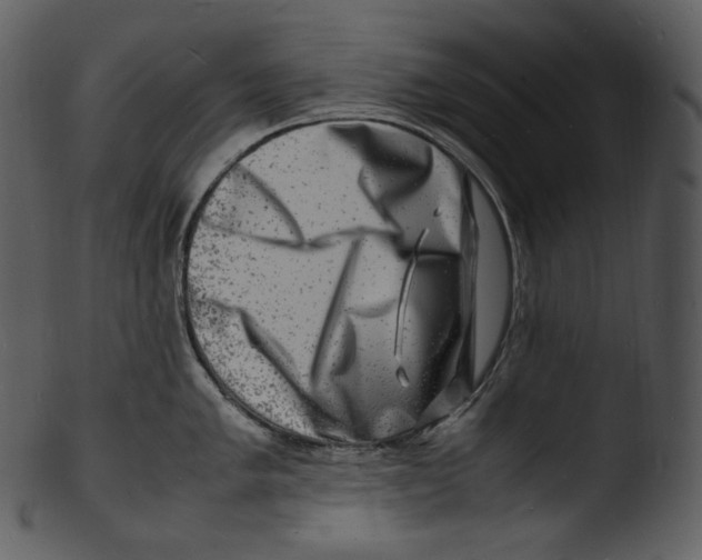 X0000103251005200809251346